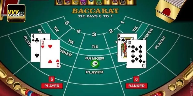 Baccarat hợp với người mới chơi