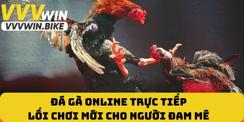 Đá Gà Online Trực Tiếp - Lối Chơi Mới Cho Người Đam Mê